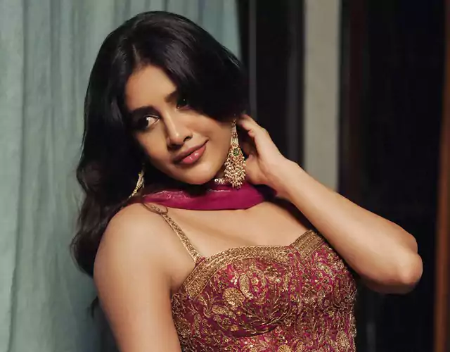 Nabha Natesh Beautiful Gallery